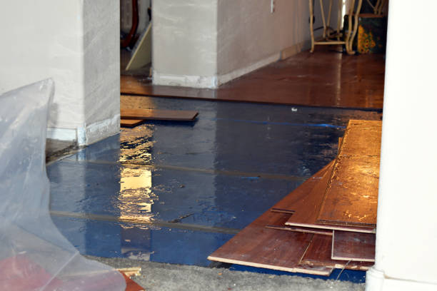 Professional Burst Pipe Water Damage technician working in Hungerford, TX